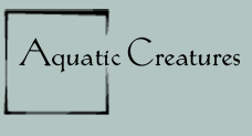 Aquatic Creatures gallery link